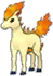 Ponyta