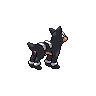 Houndour