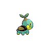 Turtwig