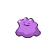 Ditto