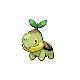 Turtwig