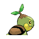 Turtwig