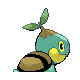 Turtwig