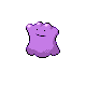 Ditto