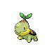 Turtwig