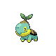 Turtwig