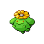 Skiploom