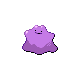 Ditto