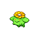 Skiploom