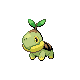 Turtwig