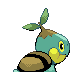 Turtwig