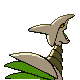 Skarmory