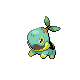 Turtwig