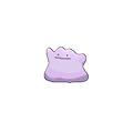 Ditto