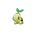 Turtwig