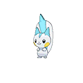 Pachirisu