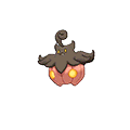 Large Pumpkaboo