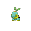 Turtwig