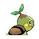 Turtwig