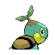 Turtwig