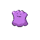 Ditto