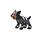 Houndour