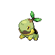 Turtwig