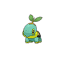 Turtwig