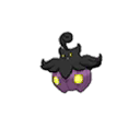 Large Pumpkaboo