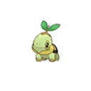 Turtwig