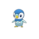 Piplup