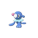 Popplio