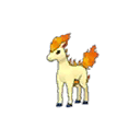 Ponyta