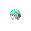 Land Shaymin