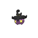 Average Pumpkaboo