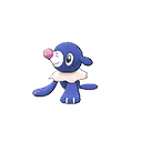 Popplio