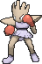 Hitmonchan