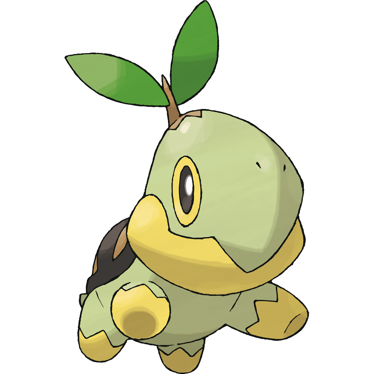 Turtwig