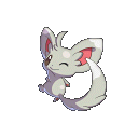 Minccino