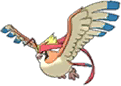 Mega Pidgeot