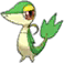 Snivy