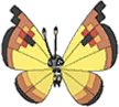 Continental Vivillon