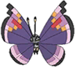 Elegant Vivillon