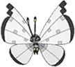 Icy Snow Vivillon