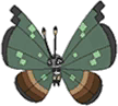 Jungle Vivillon