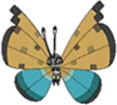 River Vivillon