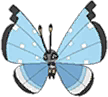 Tundra Vivillon