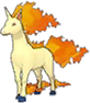 Rapidash