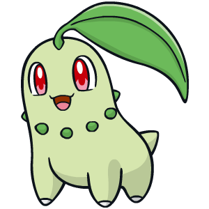 Chikorita