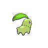 Chikorita